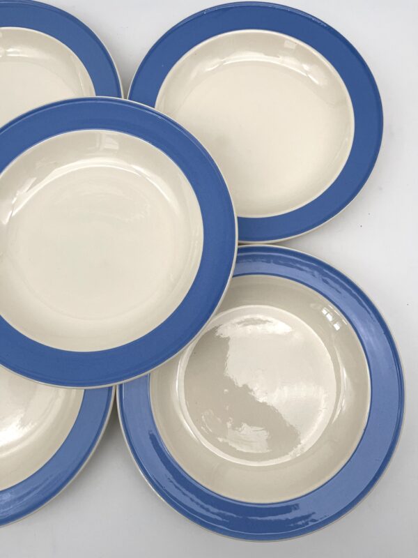 Assiette plate Orléans Villerooy et Boch Mettlach bleue – Image 5