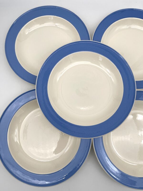 Assiette plate Orléans Villerooy et Boch Mettlach bleue – Image 4