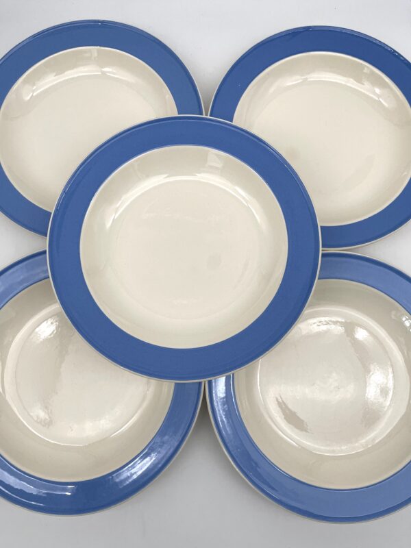 Assiette plate Orléans Villerooy et Boch Mettlach bleue – Image 3