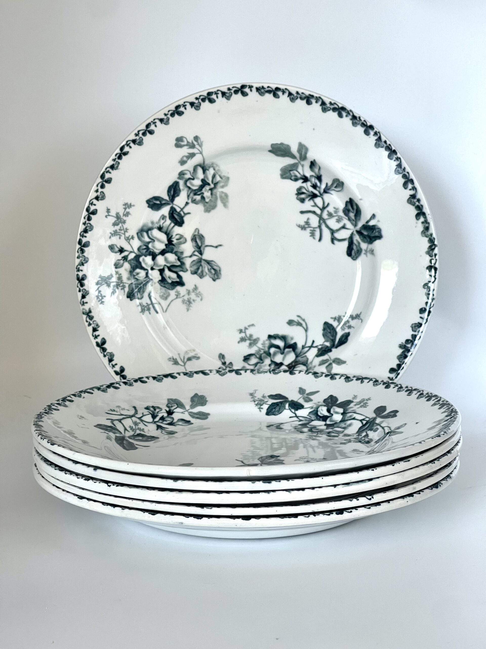 Assiette plate Acacia St Amand et Hamage Moulin des Loups