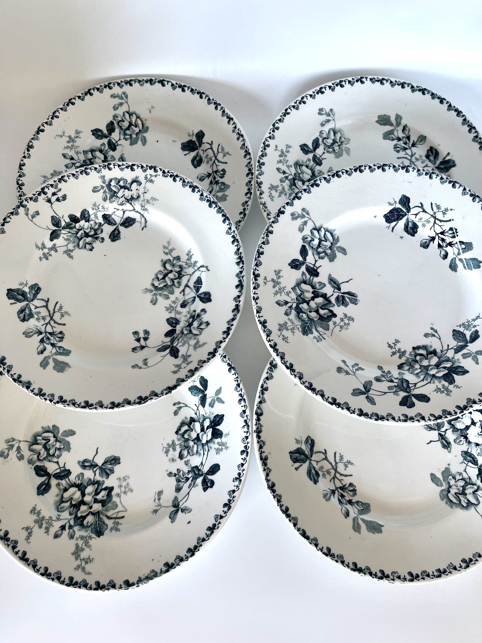 Assiette plate Acacia St Amand et Hamage Moulin des Loups – Image 3
