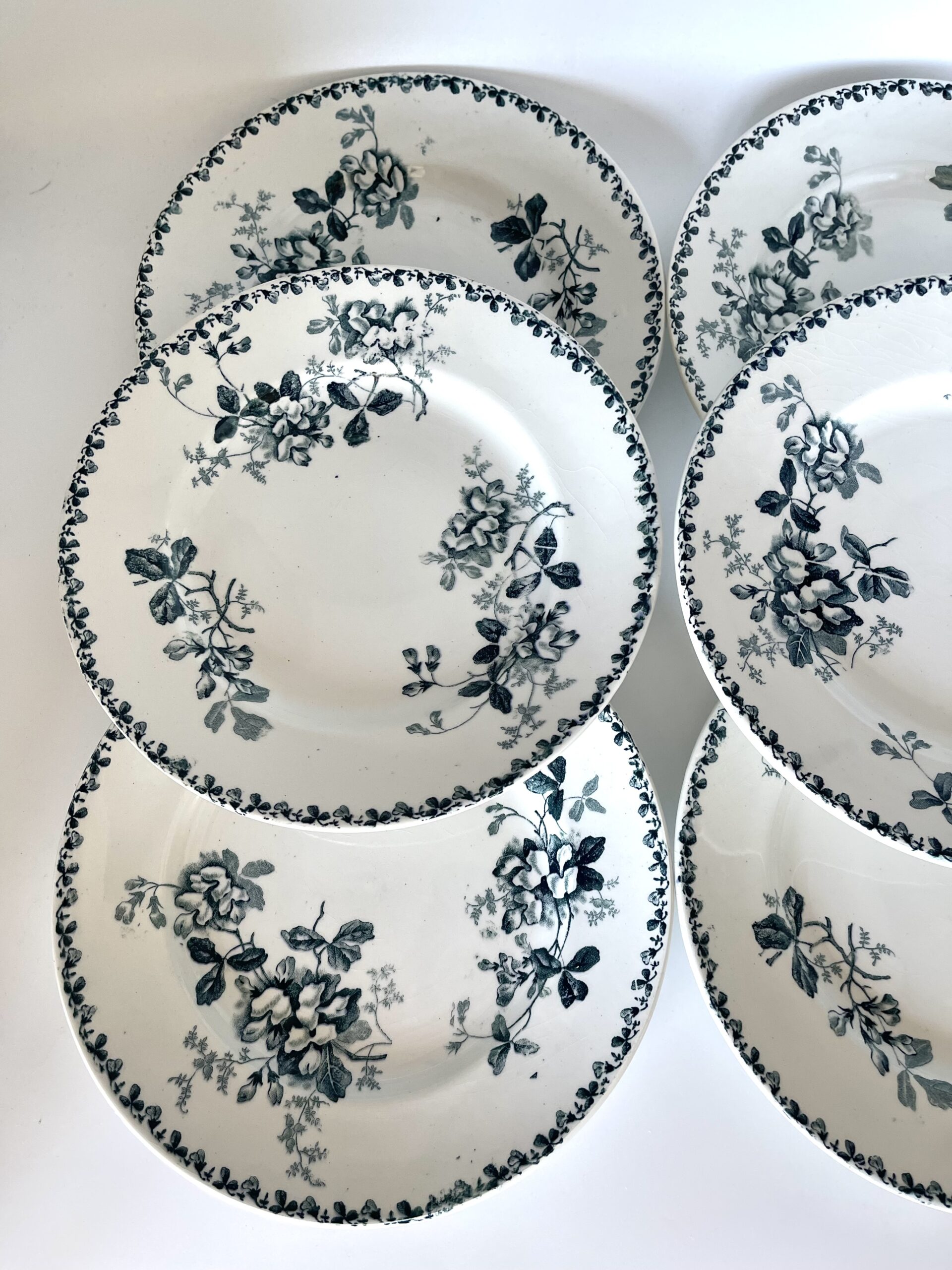 Assiette plate Acacia St Amand et Hamage Moulin des Loups – Image 4