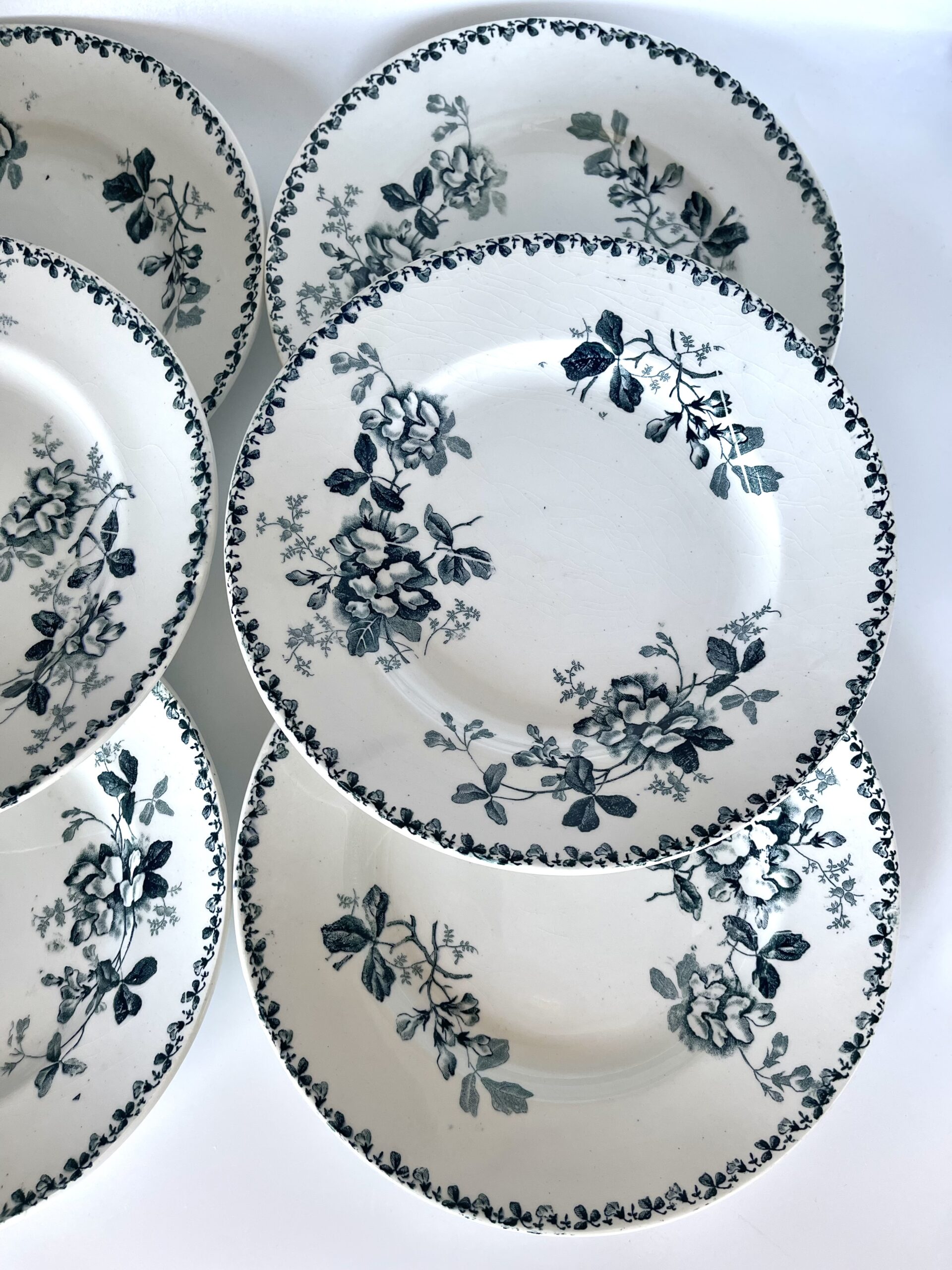 Assiette plate Acacia St Amand et Hamage Moulin des Loups – Image 5