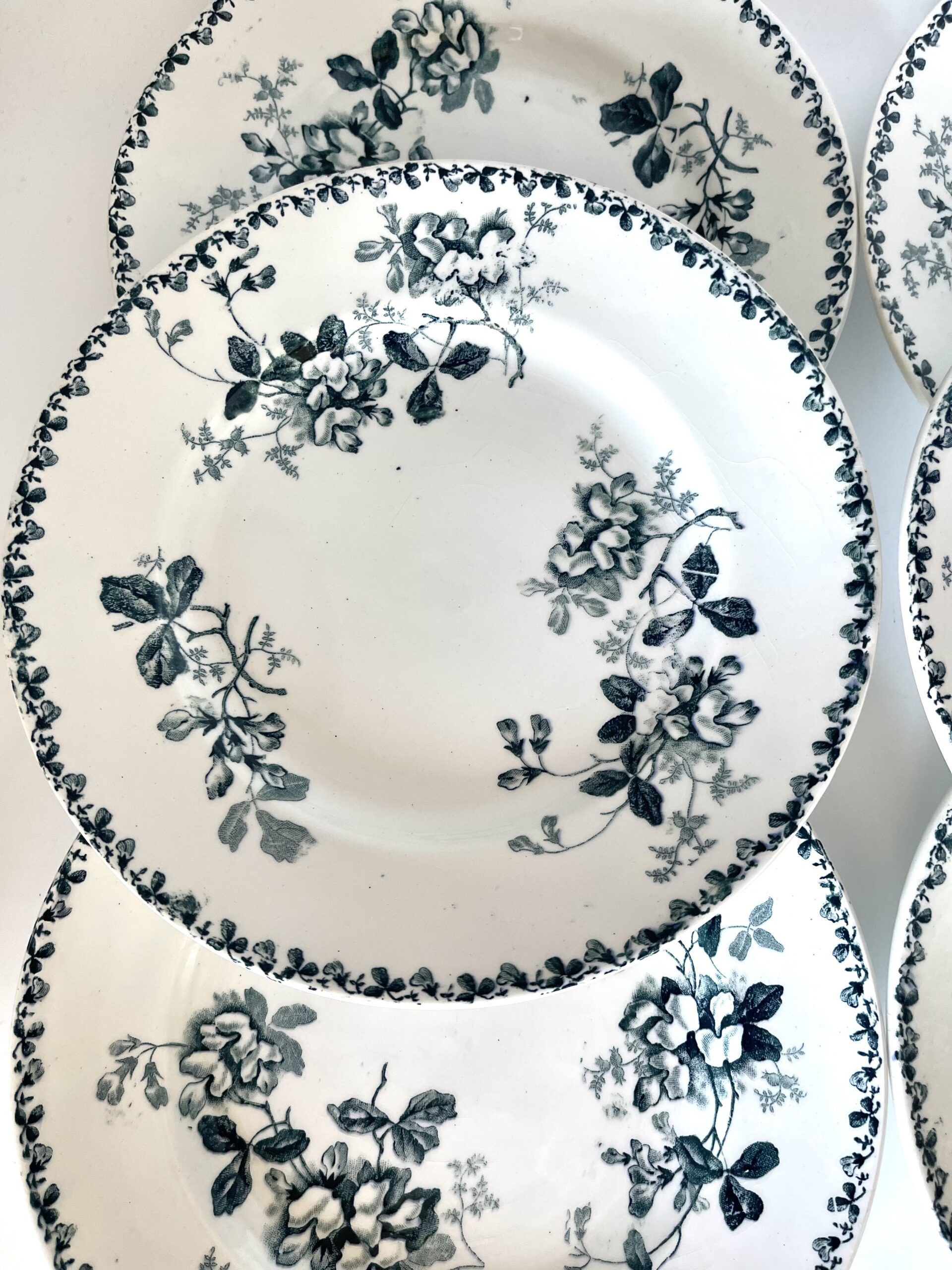 Assiette plate Acacia St Amand et Hamage Moulin des Loups – Image 6